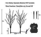 Hairui Lighted Halloween Tree Branches with Timer 70L Orange Fairy Lights, Black Twig Lights Battery Operated 18IN for Indoor Outdoor Halloween Party Decoration - Glow-Paradise