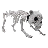 Halloween Decoration 16” Pose-N-Stay Puppy Skeleton Plastic Dog Bones with Posable Joints for Pose Skeleton Prop Indoor/Outdoor Spooky Scene Party Favors Décor. - Glow-Paradise