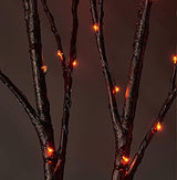 Hairui Lighted Halloween Tree Branches with Timer 70L Orange Fairy Lights, Black Twig Lights Battery Operated 18IN for Indoor Outdoor Halloween Party Decoration - Glow-Paradise