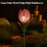 Outdoor Solar Garden Lights - 2 Pack Solar Large Metal Tulip Flowers Decorative Lights - Warm White LED Waterproof Solar Stake Lights for Garden, Patio, Yard, Lawn, Walkway Decoration(Red) - Glow-Paradise