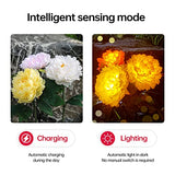 Cmskokm Outdoor Solar Garden Light Yard Decor Garden Garden Decor Solar Flower Lamp Bigger Peony Flower Head Bigger Solar Panel Waterproof Solar Decorative Light for Garden Patio (3 per Box) - Glow-Paradise