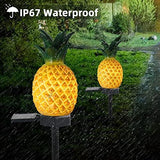 Outdoor Solar Garden Lights - 2 Pack Solar Pineapple Decorative Lights, IP67 Waterproof Warm White LED Solar Outdoor Lights,Solar Stake Lights for Garden Patio Yard Pathway Decoration - Glow-Paradise
