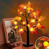 TURNMEON 22 Inch Prelit Tabletop Fall Maple Tree with Timer 24 Led Pumpkin Lights 6 Acorn Battery Operated Artificial Maple Leaves Tree Decoration Halloween Autumn Thanksgiving for Indoor Home Decor - Glow-Paradise
