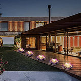 Huaxu Solar Lights Outdoor Garden Decor,Purple Lotus Solar Light,Waterproof LED Crackle Globe Glass Flower Light for Garden,Patio,Yard,Porch,Pathway,Ground,Outdoor Tabletop - Glow-Paradise