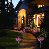 Solar Lights Outdoor Garden Decorative, 2 Pack Solar Powered Phalaenopsis Flowers Lights Design, Upgraded Garden Solar Lights Waterproof IP65, Solar Garden Decorations for Garden, Yard Decor - Glow-Paradise