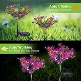 Solar Lights Outdoor Garden Decorative, 2 Pack Solar Powered Phalaenopsis Flowers Lights Design, Upgraded Garden Solar Lights Waterproof IP65, Solar Garden Decorations for Garden, Yard Decor - Glow-Paradise