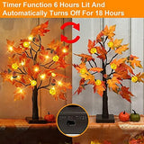 TURNMEON 22 Inch Prelit Tabletop Fall Maple Tree with Timer 24 Led Pumpkin Lights 6 Acorn Battery Operated Artificial Maple Leaves Tree Decoration Halloween Autumn Thanksgiving for Indoor Home Decor - Glow-Paradise
