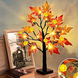 TURNMEON 22 Inch Prelit Tabletop Fall Maple Tree with Timer 24 Led Pumpkin Lights 6 Acorn Battery Operated Artificial Maple Leaves Tree Decoration Halloween Autumn Thanksgiving for Indoor Home Decor - Glow-Paradise