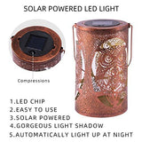 Solar Lantern Outdoor Hanging Garden Decorative Lantern Metal Owl Decor Lantern with Handle Solar Powered Outdoor Waterproof LED Patio Lanterns Owl Solar Lantern for Yard,Table,Tree,Gift (Bronze 1 Pc) - Glow-Paradise