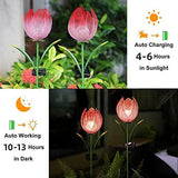 Outdoor Solar Garden Lights - 2 Pack Solar Large Metal Tulip Flowers Decorative Lights - Warm White LED Waterproof Solar Stake Lights for Garden, Patio, Yard, Lawn, Walkway Decoration(Red) - Glow-Paradise