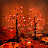 2 Pack 24 Inch Orange Lighted Halloween Birches Tree Decor with Timer Total 48 LED Battery Operated Tabletop Artificial Black Spooky Tree Halloween Decorations for Indoor Home Holiday Party - Glow-Paradise