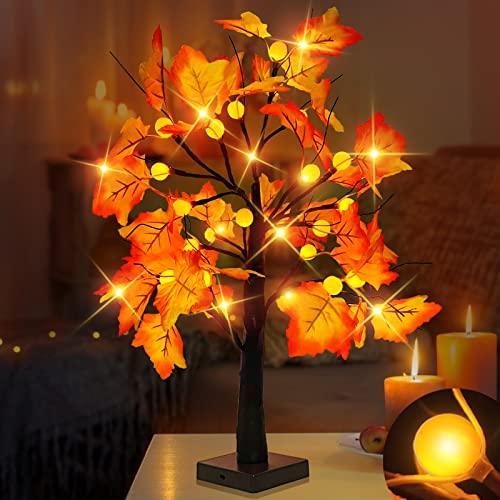 [ Timer ] 24”/2FT Prelit Fall Tree with 24 LED 3D Pumpkin Orange Lights, Fall Halloween Decor Lighted Maple Tree Battery Powered, Autumn Thanksgiving Decorations,Fall Pumpkin Decorations Home Indoor - Glow-Paradise