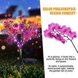 Solar Lights Outdoor Garden Decorative, 2 Pack Solar Powered Phalaenopsis Flowers Lights Design, Upgraded Garden Solar Lights Waterproof IP65, Solar Garden Decorations for Garden, Yard Decor - Glow-Paradise