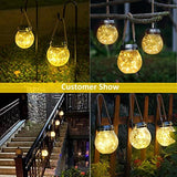 ROSHWEY Solar Lantern, 2 Pack Halloween Christmas Outdoor Lanterns with 30 LED Waterproof Garden Decor Patio Solar Lights Outdoor Decorative Backyard Solar Lanterns Outdoor Hanging ( Warm Light ) - Glow-Paradise