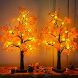 TURNMEON Fall Decor 2 Pack 24''/2FT Lighted Maple Tree Timer Halloween Thanksgiving Decorations Tabletop Fall Tree 48 LEDs Battery Powered Pumpkin Light Autumn Indoor Outdoor Home Decor(Orange Red) - Glow-Paradise
