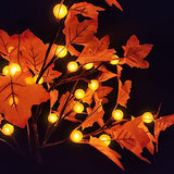 [ Timer ] 24”/2FT Prelit Fall Tree with 24 LED 3D Pumpkin Orange Lights, Fall Halloween Decor Lighted Maple Tree Battery Powered, Autumn Thanksgiving Decorations,Fall Pumpkin Decorations Home Indoor - Glow-Paradise