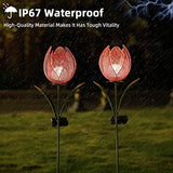 Outdoor Solar Garden Lights - 2 Pack Solar Large Metal Tulip Flowers Decorative Lights - Warm White LED Waterproof Solar Stake Lights for Garden, Patio, Yard, Lawn, Walkway Decoration(Red) - Glow-Paradise