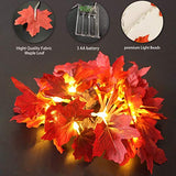 3 Pack Fall Decor Fall Garland Fall Decoration for Home, Enlarged Maple Leaves Halloween Lights, 30 Ft 60 LED Waterproof Battery Operated Lights Fall Thanksgiving Halloween Decorations Indoor Outdoor - Glow-Paradise
