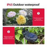 Cmskokm Outdoor Solar Garden Light Yard Decor Garden Garden Decor Solar Flower Lamp Bigger Peony Flower Head Bigger Solar Panel Waterproof Solar Decorative Light for Garden Patio (3 per Box) - Glow-Paradise