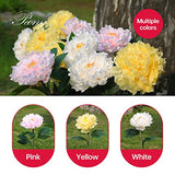 Cmskokm Outdoor Solar Garden Light Yard Decor Garden Garden Decor Solar Flower Lamp Bigger Peony Flower Head Bigger Solar Panel Waterproof Solar Decorative Light for Garden Patio (3 per Box) - Glow-Paradise