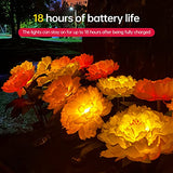 Cmskokm Outdoor Solar Garden Light Yard Decor Garden Garden Decor Solar Flower Lamp Bigger Peony Flower Head Bigger Solar Panel Waterproof Solar Decorative Light for Garden Patio (3 per Box) - Glow-Paradise