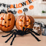 BEIGUO 2 Pack Halloween Light up Spiders Giant Hairy Spider with Purple Lights for Halloween Decorations Outdoor,Indoor,Yard Halloween Party Decoration - Glow-Paradise