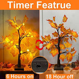 TURNMEON Fall Decor 2 Pack 24''/2FT Lighted Maple Tree Timer Halloween Thanksgiving Decorations Tabletop Fall Tree 48 LEDs Battery Powered Pumpkin Light Autumn Indoor Outdoor Home Decor(Orange Red) - Glow-Paradise
