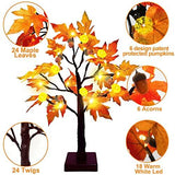 TURNMEON 22 Inch Prelit Tabletop Fall Maple Tree with Timer 24 Led Pumpkin Lights 6 Acorn Battery Operated Artificial Maple Leaves Tree Decoration Halloween Autumn Thanksgiving for Indoor Home Decor - Glow-Paradise