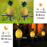 Outdoor Solar Garden Lights - 2 Pack Solar Pineapple Decorative Lights, IP67 Waterproof Warm White LED Solar Outdoor Lights,Solar Stake Lights for Garden Patio Yard Pathway Decoration - Glow-Paradise