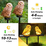 Solar Garden Stake Lights - 2 Pack Owl Solar Lights Outdoor Garden,IP67 Waterproof Warm White LED Solar Stake Lights for Garden, Patio, Yard, Lawn, Walkway Decoration(Brown) - Glow-Paradise