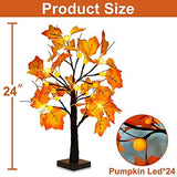 [ Timer ] 24”/2FT Prelit Fall Tree with 24 LED 3D Pumpkin Orange Lights, Fall Halloween Decor Lighted Maple Tree Battery Powered, Autumn Thanksgiving Decorations,Fall Pumpkin Decorations Home Indoor - Glow-Paradise