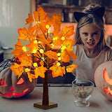 [ Timer ] 24”/2FT Prelit Fall Tree with 24 LED 3D Pumpkin Orange Lights, Fall Halloween Decor Lighted Maple Tree Battery Powered, Autumn Thanksgiving Decorations,Fall Pumpkin Decorations Home Indoor - Glow-Paradise