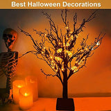 [ Timer ] 24”/ 2FT Prelit Halloween Trees Decorations with Timer 24 Orange LED 25 Pumpkin Battery Powered Halloween Black Spooky Tabletop Tree Scary Ornament Halloween Decoration Indoor Home Party - Glow-Paradise