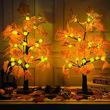 TURNMEON Fall Decor 2 Pack 24''/2FT Lighted Maple Tree Timer Halloween Thanksgiving Decorations Tabletop Fall Tree 48 LEDs Battery Powered Pumpkin Light Autumn Indoor Outdoor Home Decor(Orange Red) - Glow-Paradise
