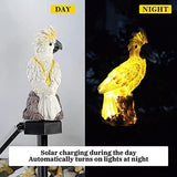 Garden Solar Light Outdoor Decor, Resin Parrot Solar LED Light for Outdoor, Animal Waterproof Light for Flower Fence Lawn Passage Walkway Courtyard Party Decoration, Yellow Parrot - Glow-Paradise