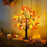 TURNMEON 22 Inch Prelit Tabletop Fall Maple Tree with Timer 24 Led Pumpkin Lights 6 Acorn Battery Operated Artificial Maple Leaves Tree Decoration Halloween Autumn Thanksgiving for Indoor Home Decor - Glow-Paradise