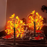 TURNMEON Fall Decor 2 Pack 24''/2FT Lighted Maple Tree Timer Halloween Thanksgiving Decorations Tabletop Fall Tree 48 LEDs Battery Powered Pumpkin Light Autumn Indoor Outdoor Home Decor(Orange Red) - Glow-Paradise
