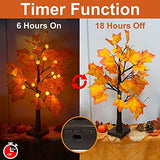 [ Timer ] 24”/2FT Prelit Fall Tree with 24 LED 3D Pumpkin Orange Lights, Fall Halloween Decor Lighted Maple Tree Battery Powered, Autumn Thanksgiving Decorations,Fall Pumpkin Decorations Home Indoor - Glow-Paradise