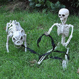 Halloween Decoration 16” Pose-N-Stay Puppy Skeleton Plastic Dog Bones with Posable Joints for Pose Skeleton Prop Indoor/Outdoor Spooky Scene Party Favors Décor. - Glow-Paradise