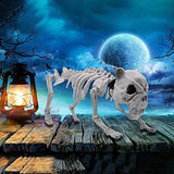 Halloween Decoration 16” Pose-N-Stay Puppy Skeleton Plastic Dog Bones with Posable Joints for Pose Skeleton Prop Indoor/Outdoor Spooky Scene Party Favors Décor. - Glow-Paradise
