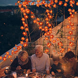 3 Pack Fall Decor Fall Garland Fall Decoration for Home, Enlarged Maple Leaves Halloween Lights, 30 Ft 60 LED Waterproof Battery Operated Lights Fall Thanksgiving Halloween Decorations Indoor Outdoor - Glow-Paradise