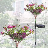 Solar Lights Outdoor Garden Decorative, 2 Pack Solar Powered Phalaenopsis Flowers Lights Design, Upgraded Garden Solar Lights Waterproof IP65, Solar Garden Decorations for Garden, Yard Decor - Glow-Paradise