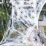1000 Sqft Halloween Spider Web Decorations With 100 Fake Spiders Spooky Spider Webbing Halloween Decorations Indoor Outdoor Party Yard Decor Supplies For Bar Haunted House - Glow-Paradise