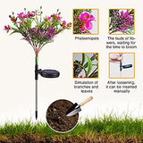 Solar Lights Outdoor Garden Decorative, 2 Pack Solar Powered Phalaenopsis Flowers Lights Design, Upgraded Garden Solar Lights Waterproof IP65, Solar Garden Decorations for Garden, Yard Decor - Glow-Paradise
