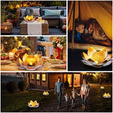 Huaxu Solar Powered Garden Lights , Outdoor Decorative Lotus Light , Art Cracked Glass Ball Metal Waterproof Solar Garden Light for Pathway, Lawn, Patio, Yard - Glow-Paradise