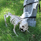 Halloween Decoration 16” Pose-N-Stay Puppy Skeleton Plastic Dog Bones with Posable Joints for Pose Skeleton Prop Indoor/Outdoor Spooky Scene Party Favors Décor. - Glow-Paradise
