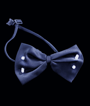 LED Flashing Bow Tie (Black Color, 1 Per Pack) - Glow-Paradise