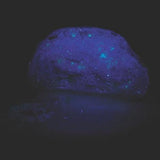 Glow Crystal Growing Kit Set (1 Per Pack) - Glow-Paradise